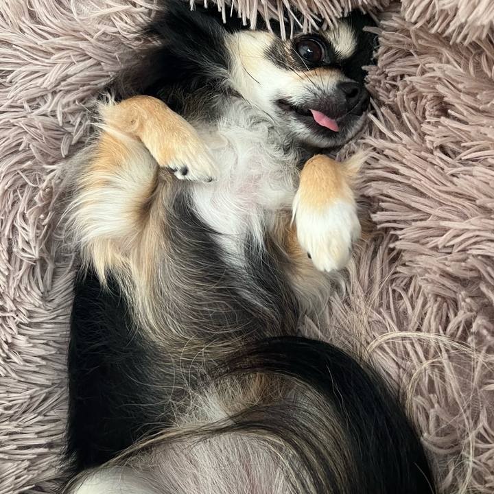 784675d1 fcbd 4415 9988 5bff7a2a4634 1676701909860