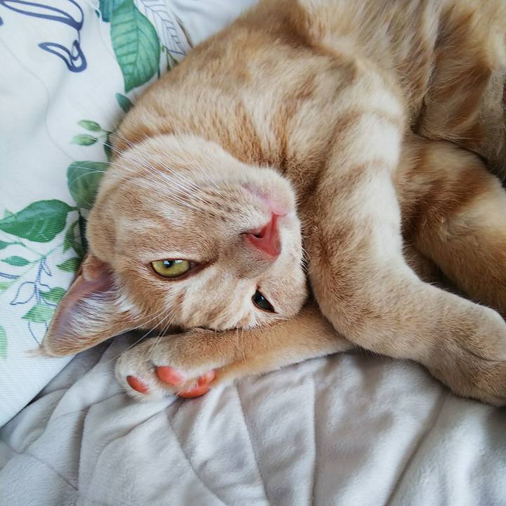 784699b4 8439 4e99 b947 7c9db7197933 1562027085482