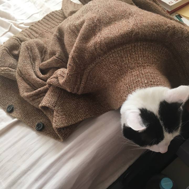 7846a052 ab65 4843 8106 7b0f8f2cfc46 1512184673797