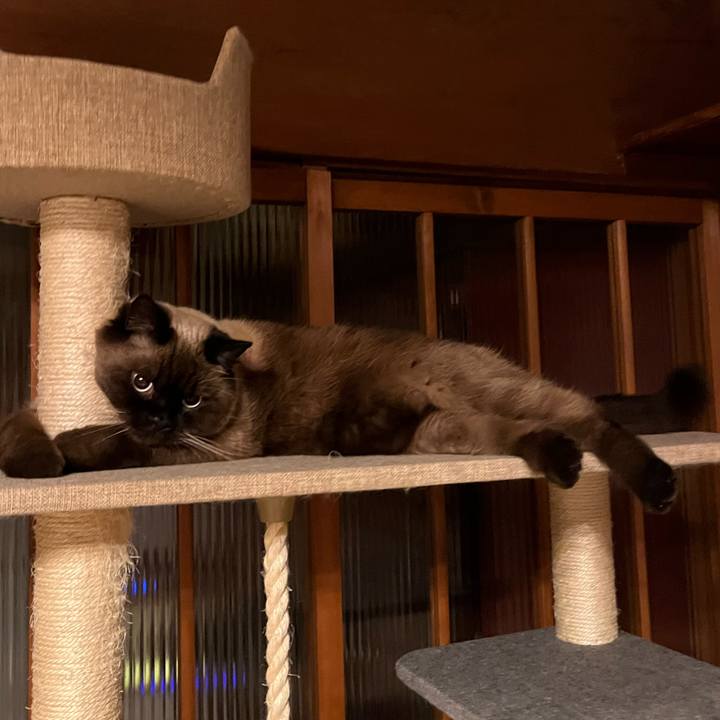 7846afcc e261 4ed1 8825 47a44cb4d37d 1644365112130