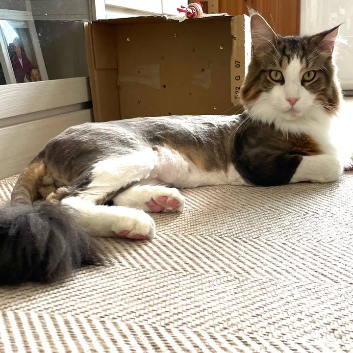 7846f783 a382 40a9 b6d4 1884dcb03535 1658645971225