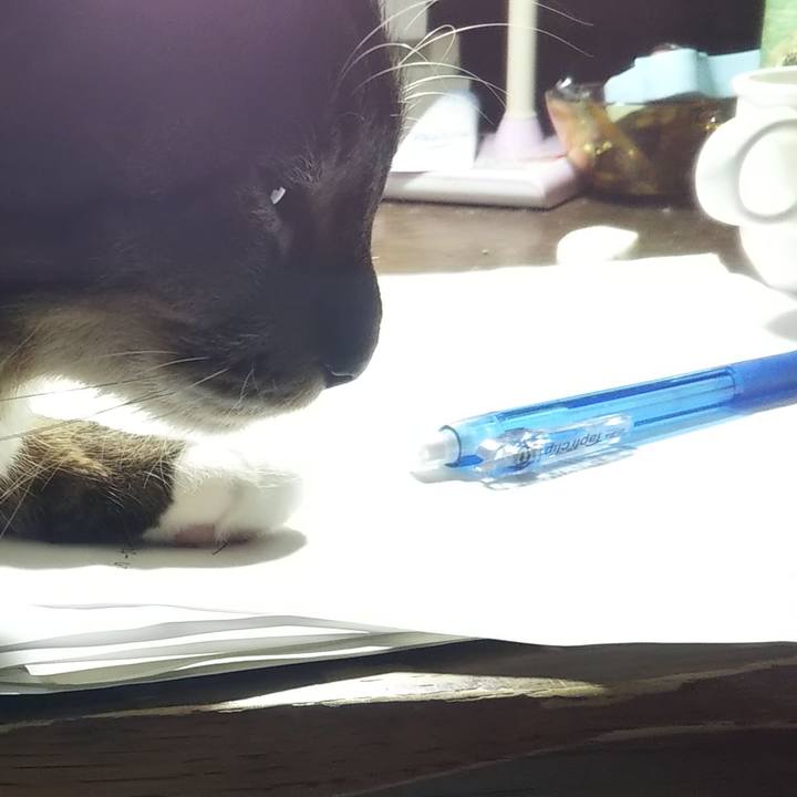 78470144 60fd 4d16 9573 605b1c744cdb 1636195953253