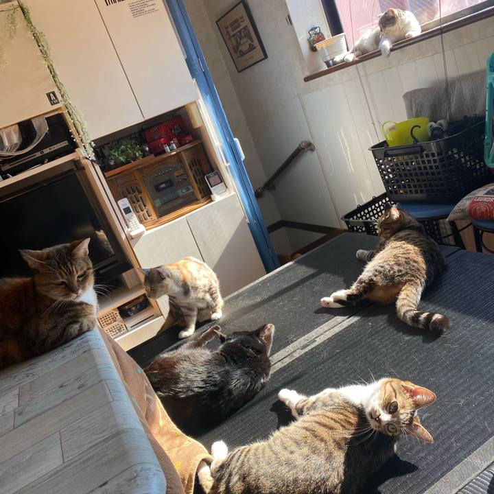 7847607f 19e8 4bb2 8806 1cc1315918ed 1579489095053