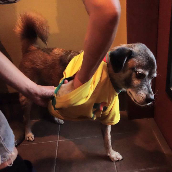 784764f5 b7fe 4fba 8a78 5da12d081566 1646268788929