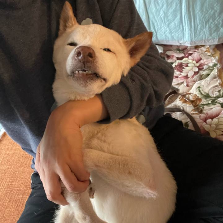 7847a21e 3e63 4e61 97e1 a77b7137533e 1672209928967