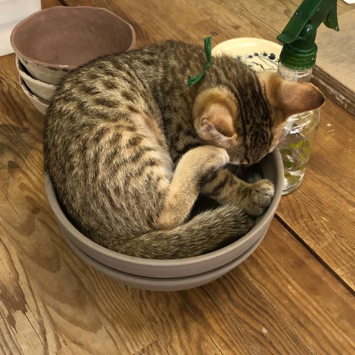 7847a7f1 9b95 41f6 b870 9bf2082125eb 1577489545602