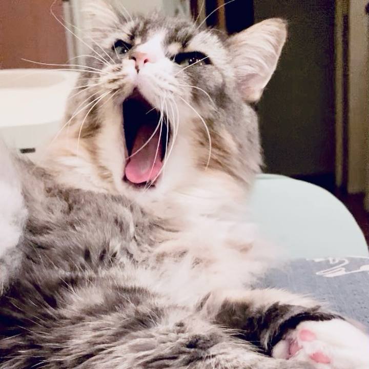 7847af31 e21f 49df a04f a473e5974b78 1731605185195