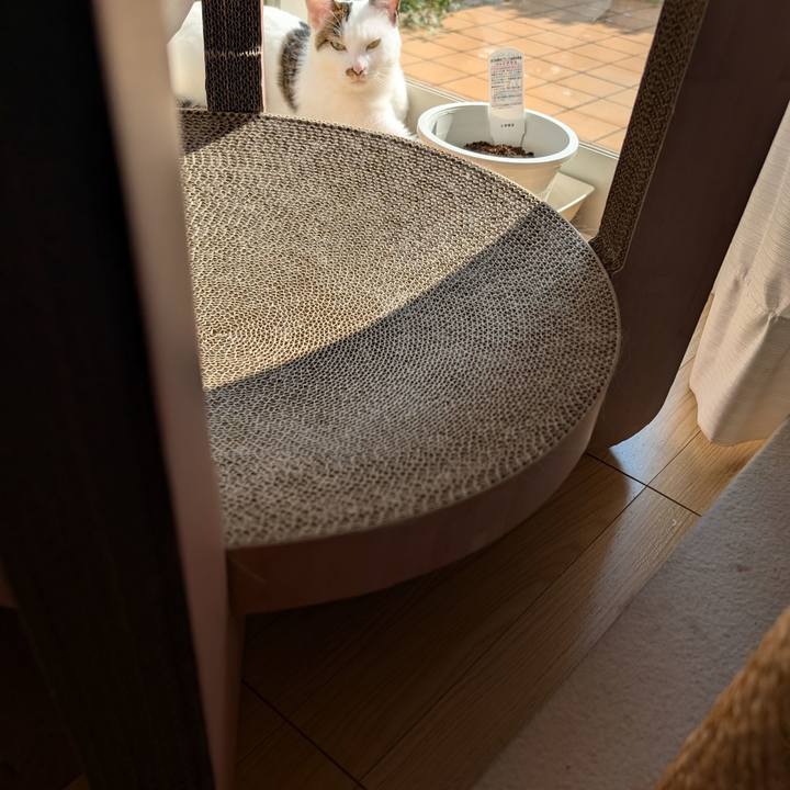 7847c0f6 64f3 4019 8adf 8d5f12e2934d 1725773662885