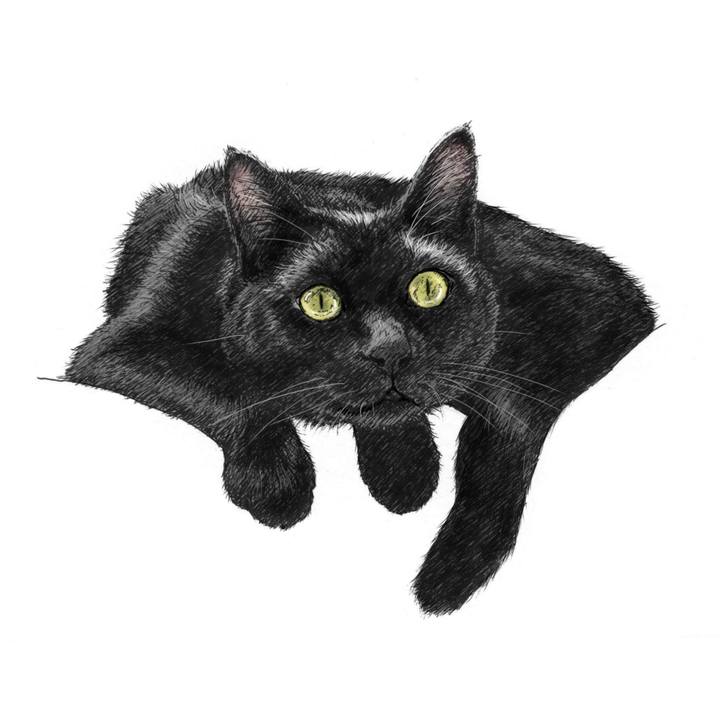 7847c651 6d75 47a2 94b3 e495f38a7808 1574516183302