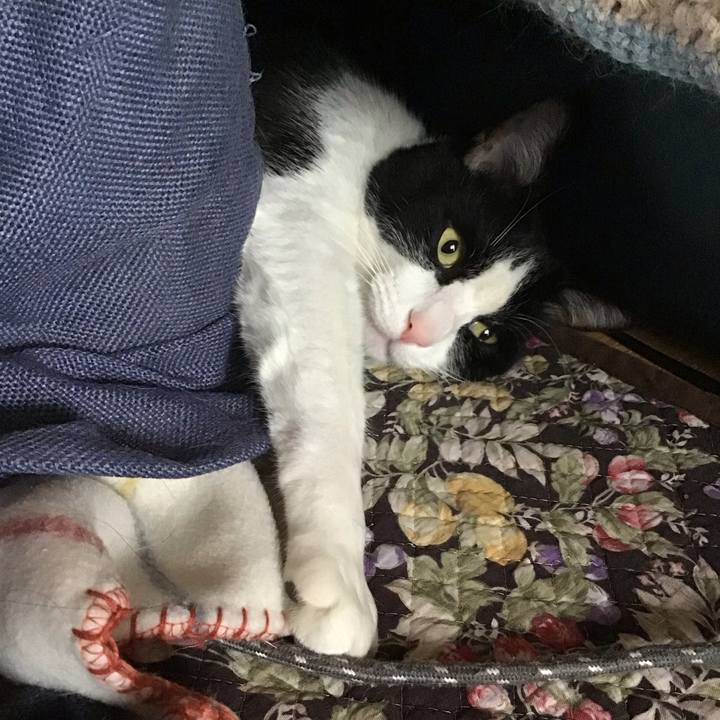 7847c7db 326f 46e1 acc3 f01a1c03d7b8 1746787277626