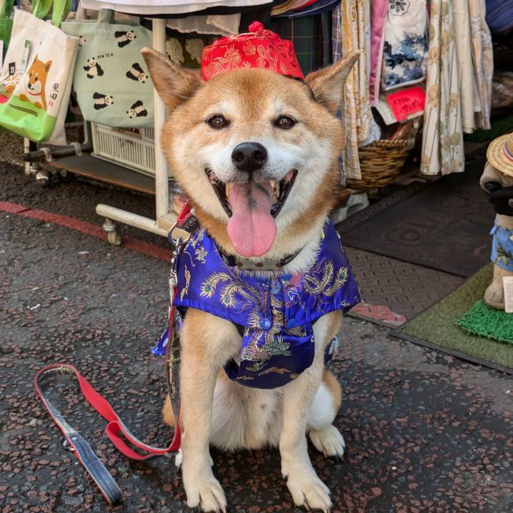 7847cff6 60ba 4219 bbd6 d06a22f758c8 1723067089884