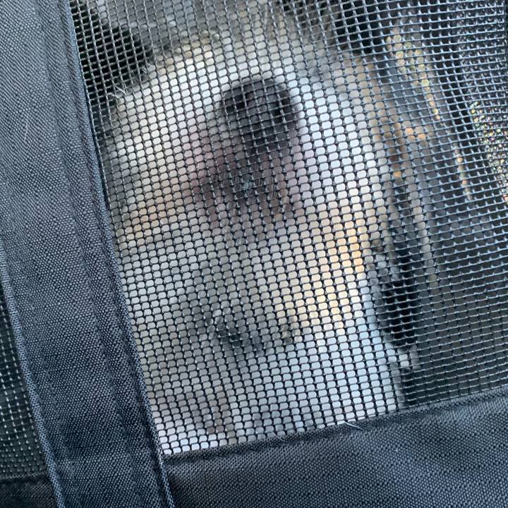 7847df97 50e2 4636 accf c19f11d8d831 1568859984081