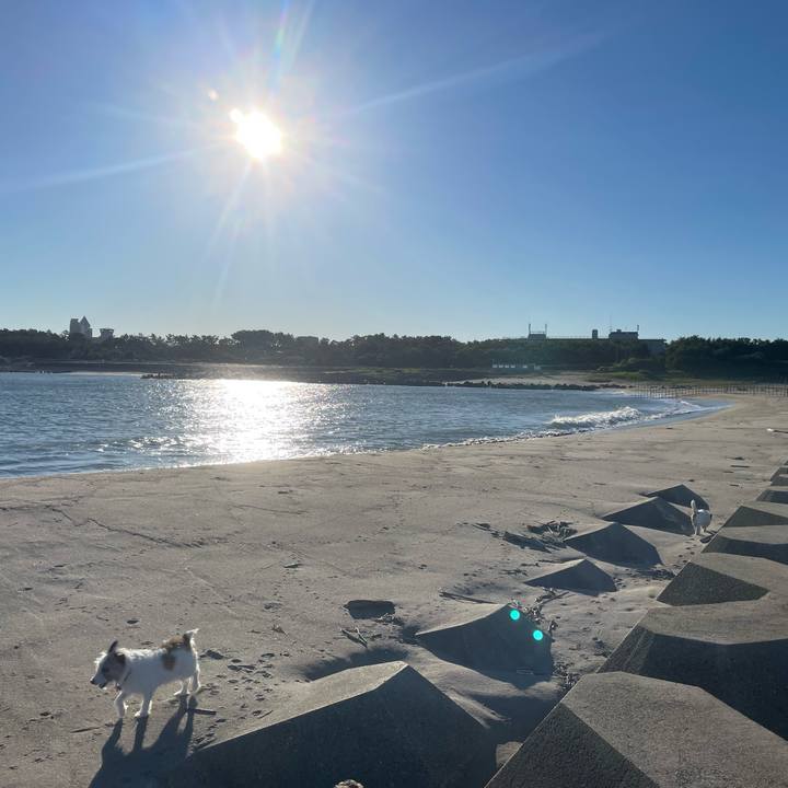 7847e356 6fdd 42a2 87ac 73c6715569e8 1727132861859