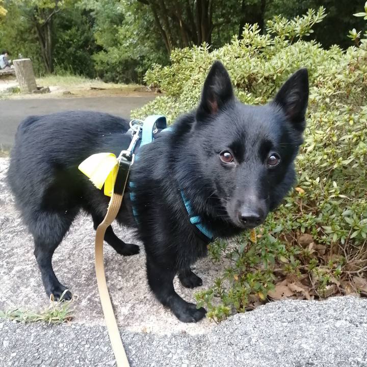 7847f83b 91e2 47bc 9887 8f73dd1a9549 1665007015254