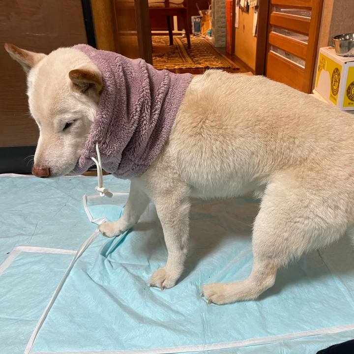 78480be3 cd6a 4ed0 8e73 87f74304fe6d 1637163997373