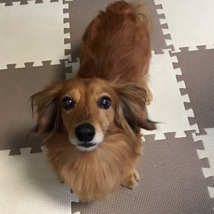 78481989 ef02 4a11 9c85 f68f8240fc26 1563258105219