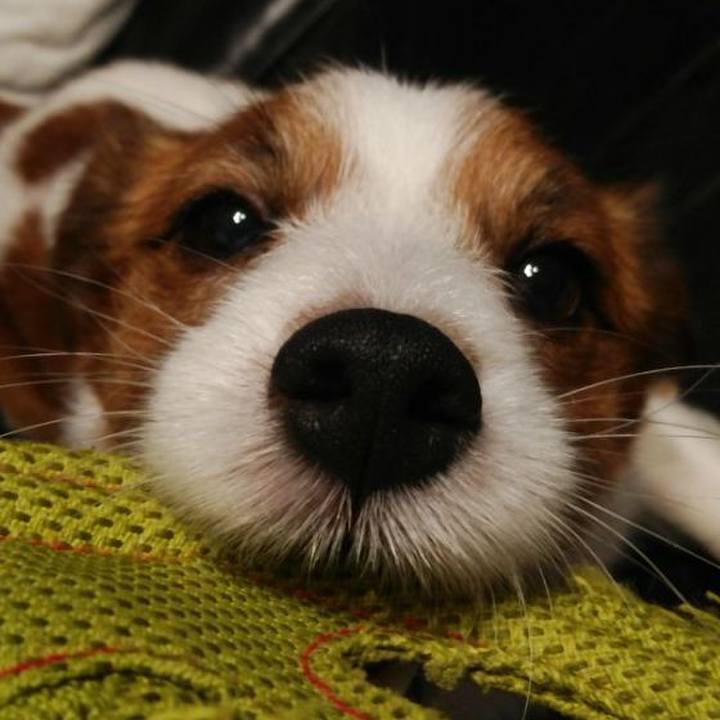 78481c8a 5493 45eb 91d3 cf42c9c36ce1 1527548711148