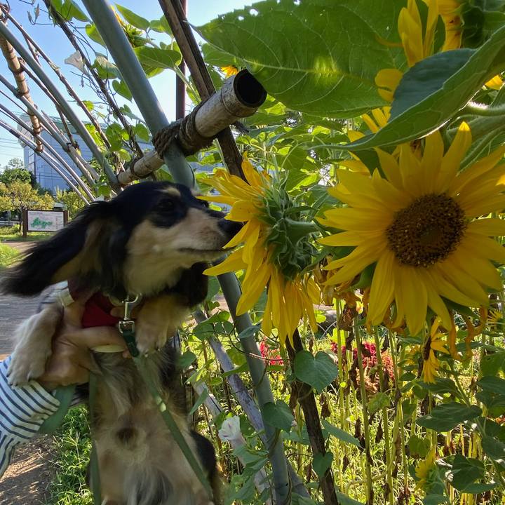 7848926b 6e03 4190 a7bd 2ef98e5d4c3b 1690589116850