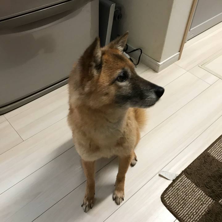 784893f4 9815 4492 8227 91ce2c5267d7 1518228143586