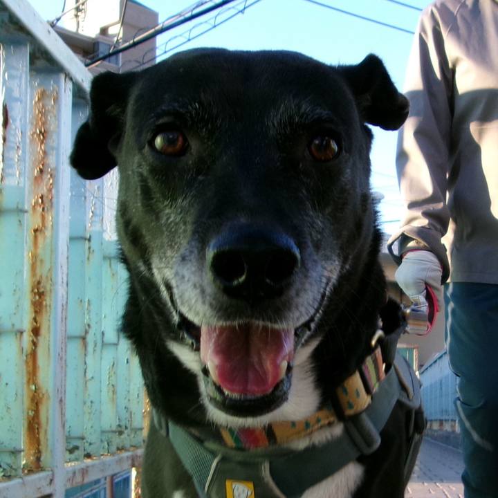 784894fa f125 4012 bcc2 9f4b48055b24 1733703709245