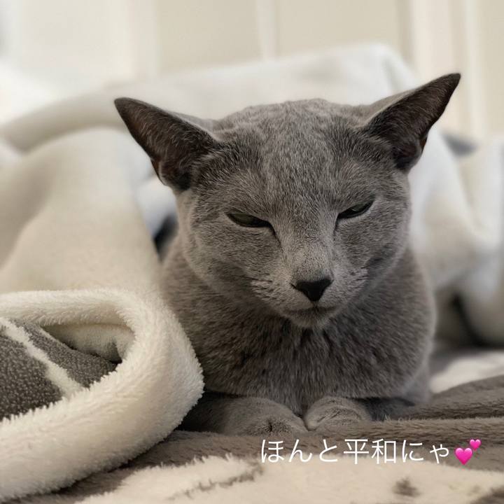 78489915 7cb4 41e3 ad07 89a0b8dbe519 1681772351861