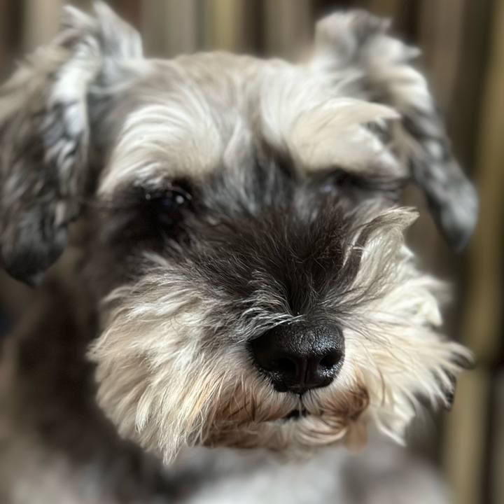 7848c2fd 1036 42a6 afdc 09abd1a8ea50 1664580789086