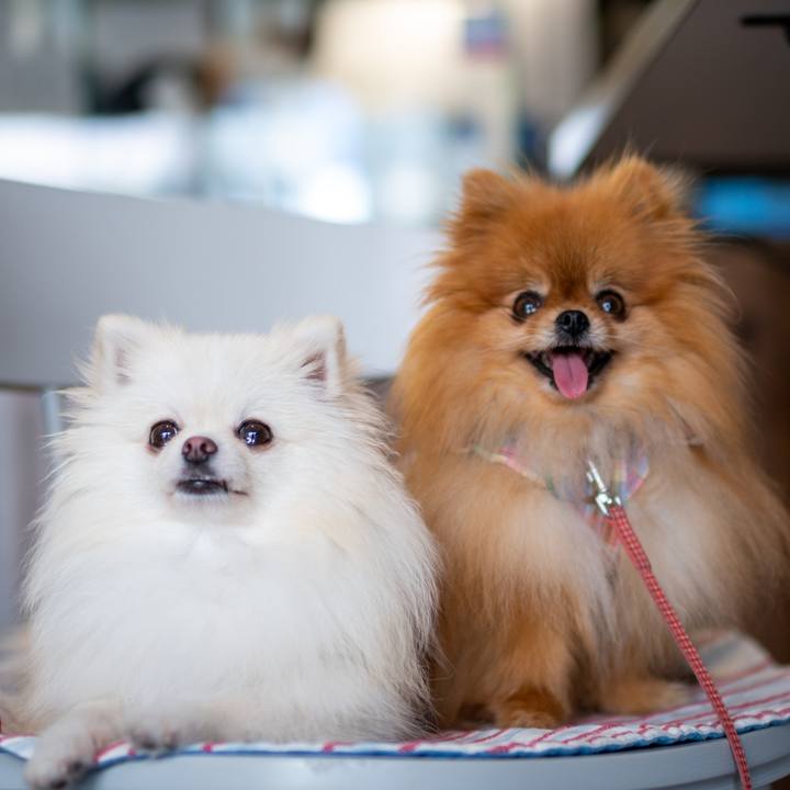 7848cf38 de24 4e22 9bea 78c67bb46e58 1594383693379