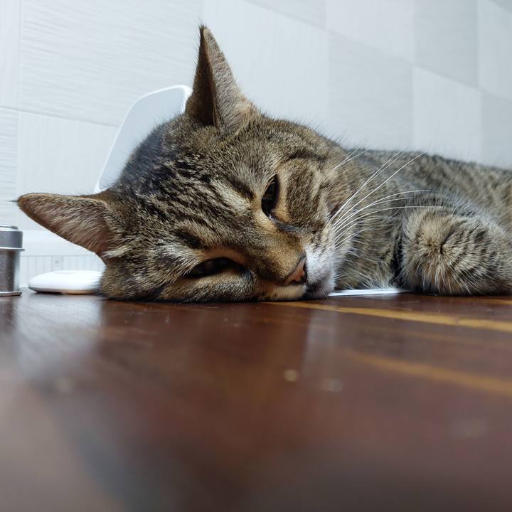 7848d459 a4f3 40c8 9067 0e873c083edd 1660735429771