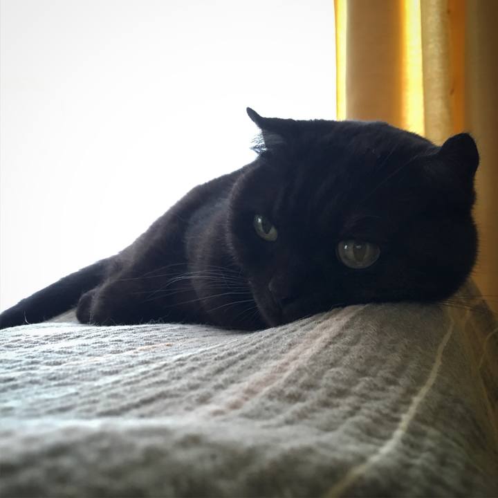 7848db5c cfb4 4853 8d46 d4c2070eb561 1532741464934