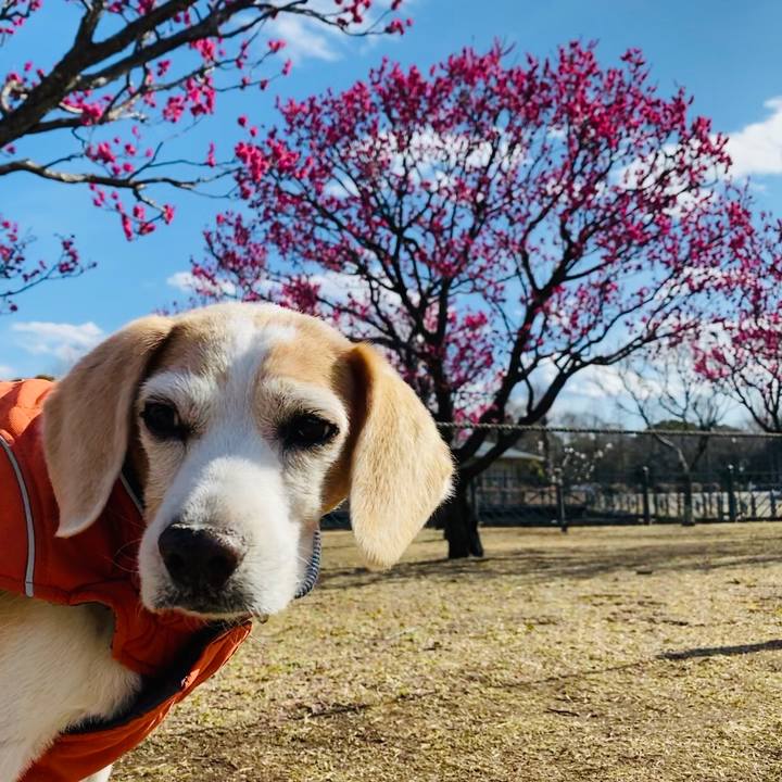 78493d98 7a47 40d2 98df 8094366e430e 1613642045216