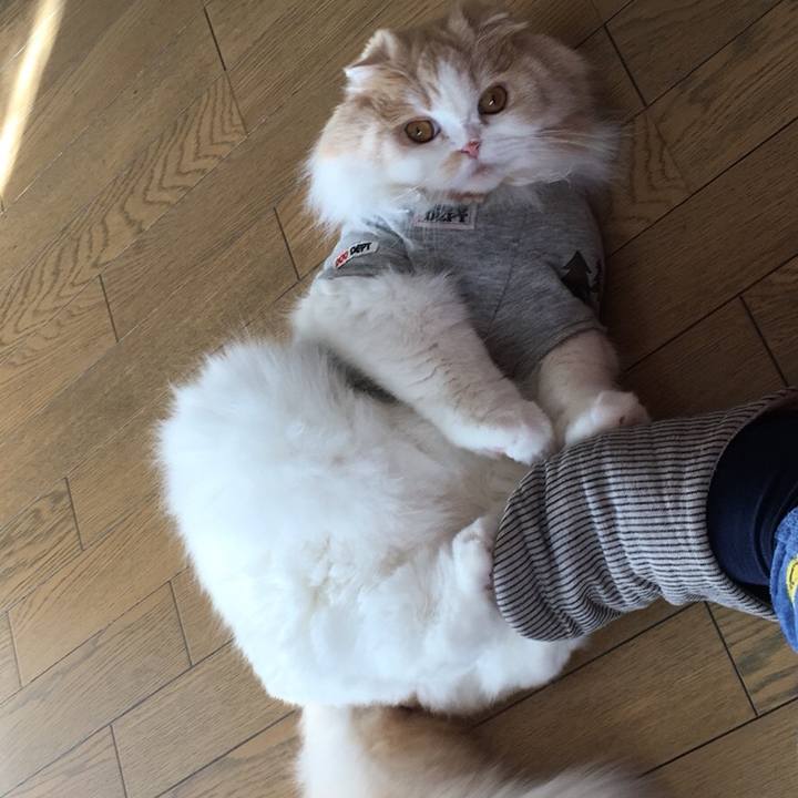 78494543 a9c7 42d3 9933 83ce38744998 1550672730659