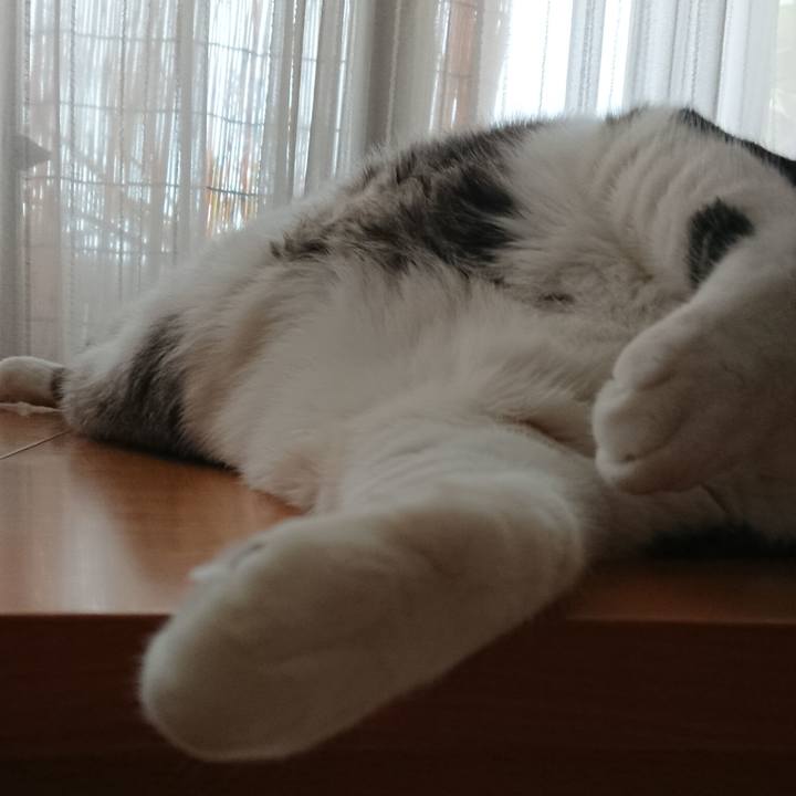 784986b2 7a4d 4ae3 9b68 b8926db4e8ff 1568423611262