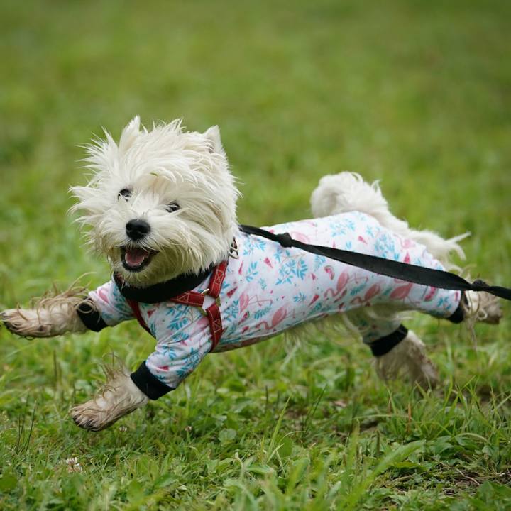 7849881d e173 496c 9160 d56428efb750 1527511689072