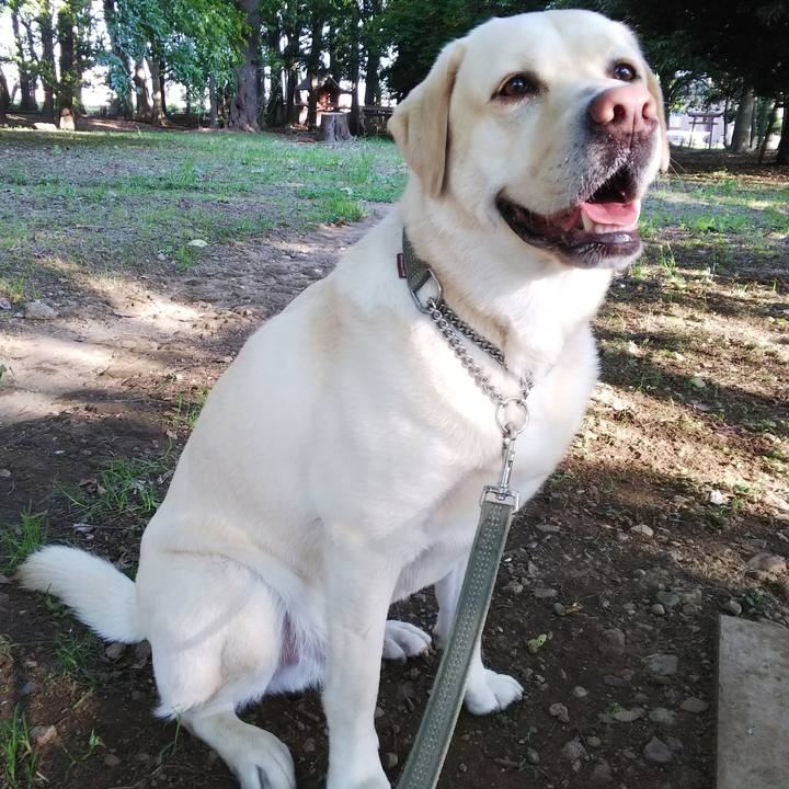 78498f9e 2c61 412a 9d6f b84f9ae3f26f 1558687099664