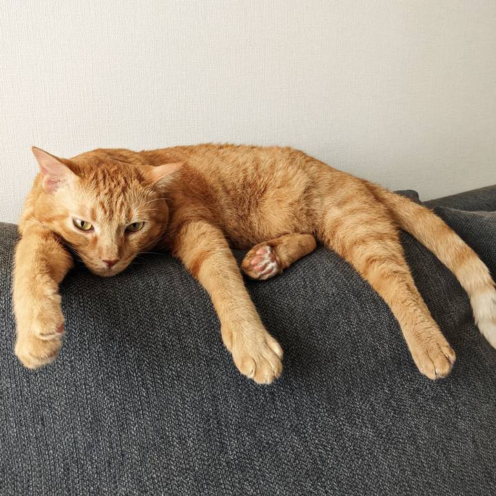 7849a3d3 5d2b 470e baaf a0a454643cc0 1661296375053