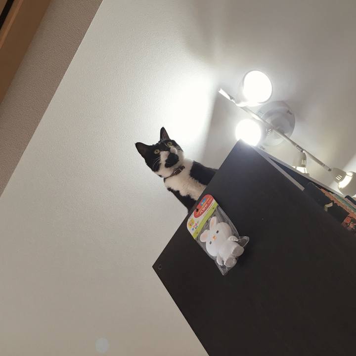 7849cd61 3ace 4bb8 8ec4 8b8ab7dfa38a 1776772503008