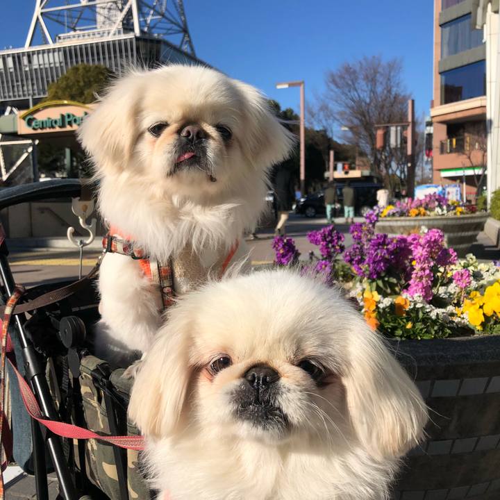 7849e1f4 e0c2 4e84 8119 2624d4328ebb 1547363049203