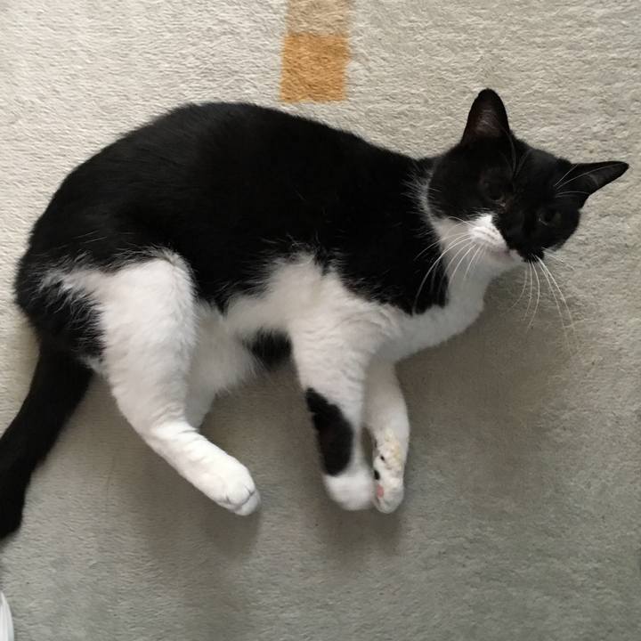 7849e765 5900 42b9 a581 3fd25e4a28cf 1529573367493