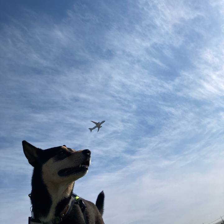 7849e770 6cf3 486a 89f5 8bdff4613aa0 1651668944002