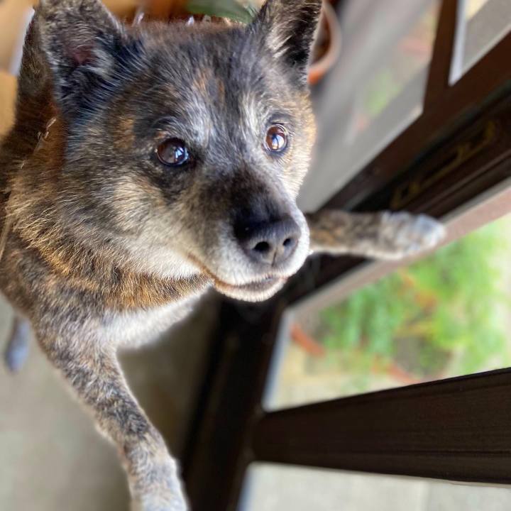 784a060b def3 4355 82a6 c26bb52eef6b 1649324275200