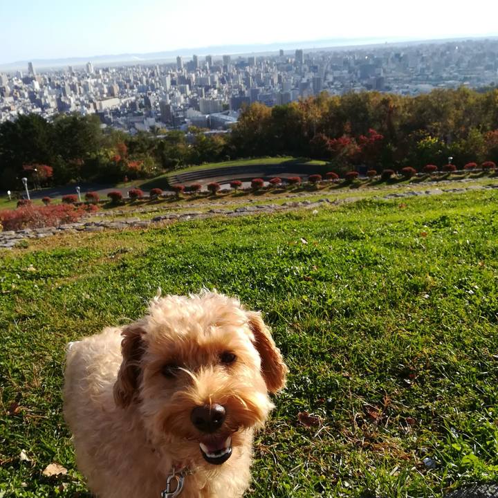 784a0d8f 0c10 438c 9e34 4ff3144ea65d 1539995091127