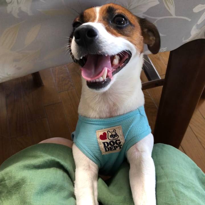 784a1821 7106 43b1 b003 61045193055d 1566086689456