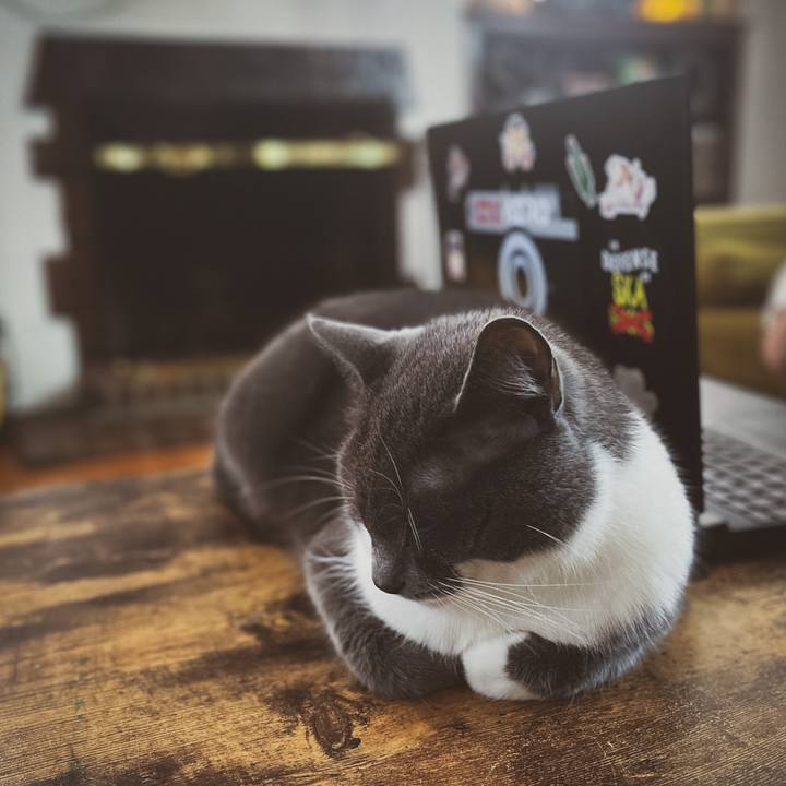 784a2a49 0f39 4212 a02a a9e75f6bb80b 1671359052314