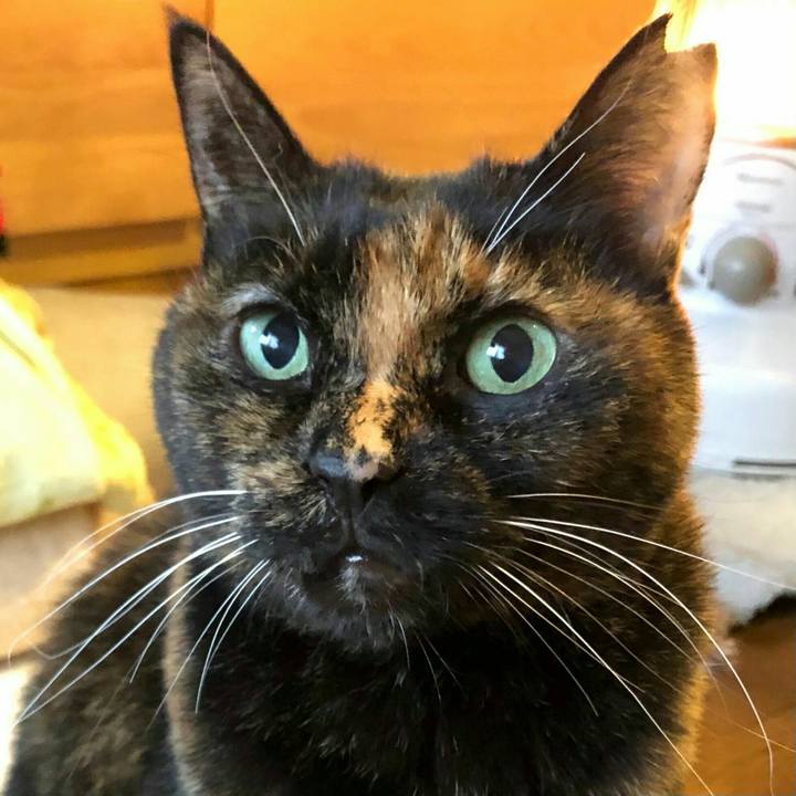 784a5a85 3f2f 4125 931e fd6bf88e1d1a 1612584746291