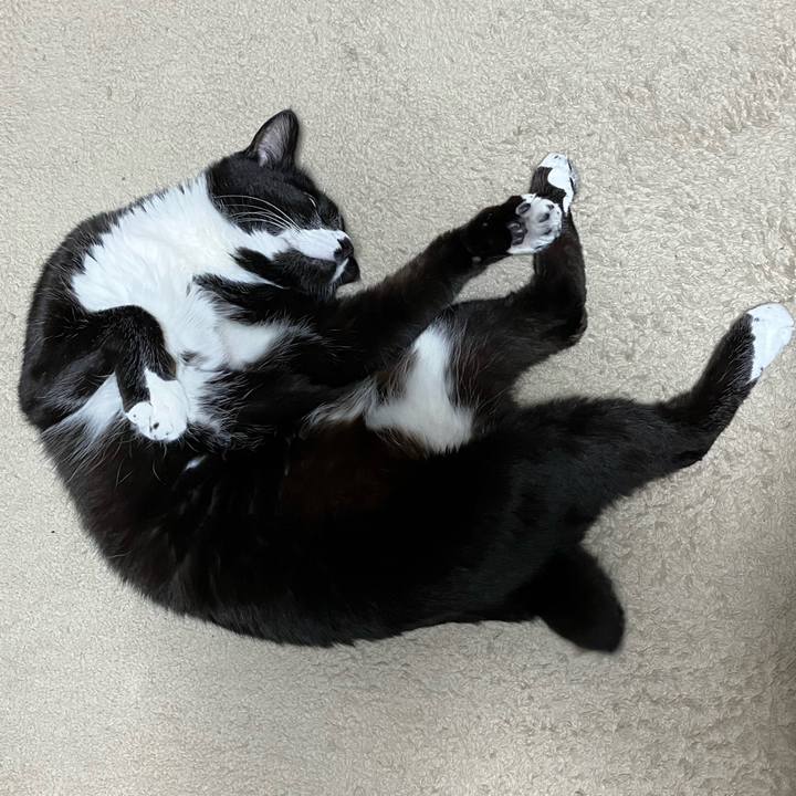 784a6493 e6b4 4453 9f84 c4b562c1e9d0 1751857297118