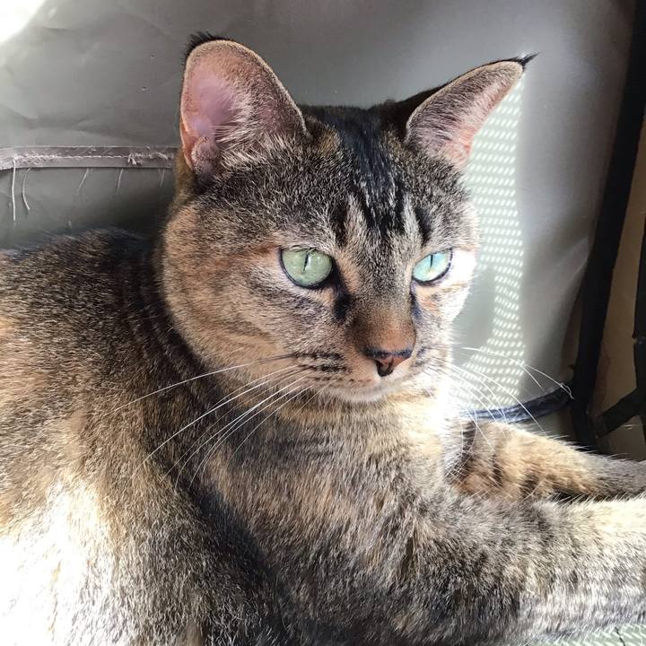 784a6a06 da9f 470c bc34 55ac2f8e18c9 1760948545019