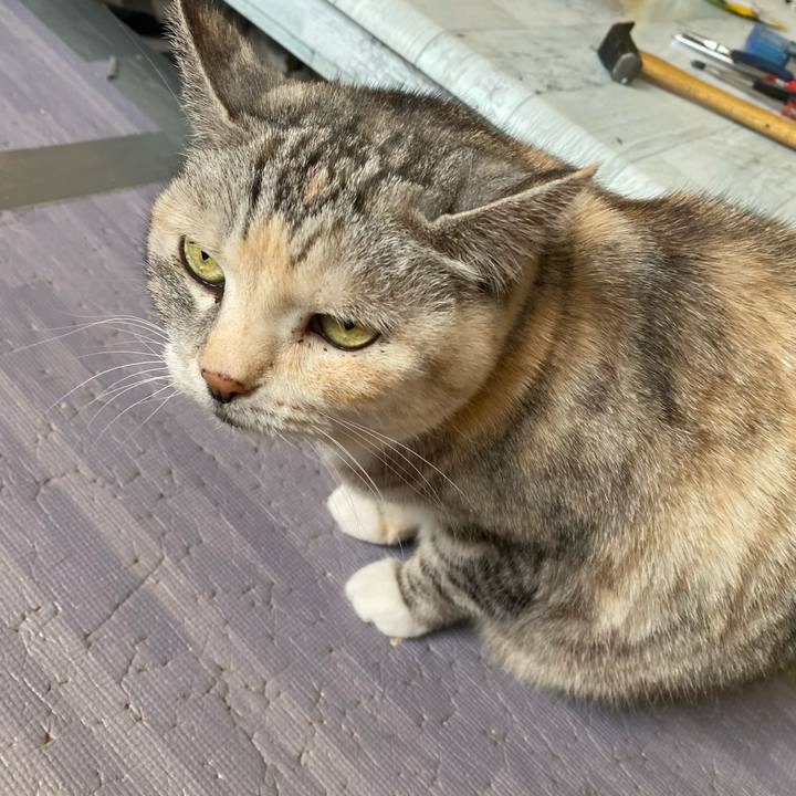 784a9d63 7fd5 483d 9c84 bd12243841d4 1682228989383