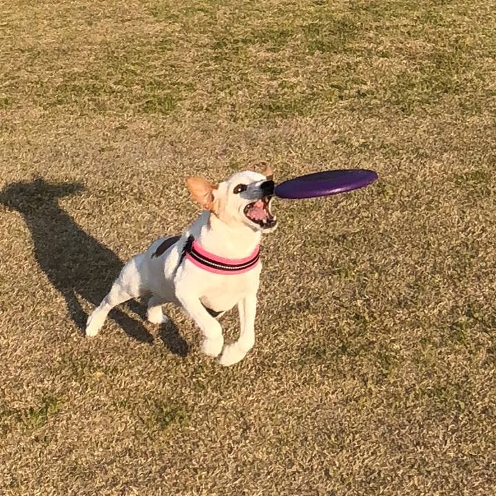 784aa7c7 67e1 46f9 b9ab bb718e84b51e 1521885669385