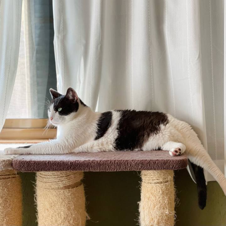 784adf92 b54f 4beb b6fe 627eeb4d72ed 1661651256919