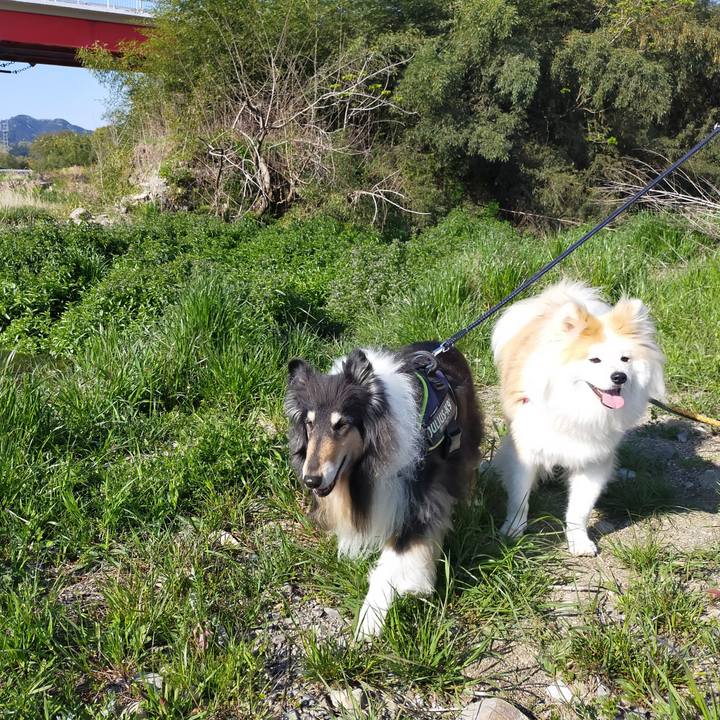 784af234 8677 46ea b88d fb68c9d96d06 1618111760489